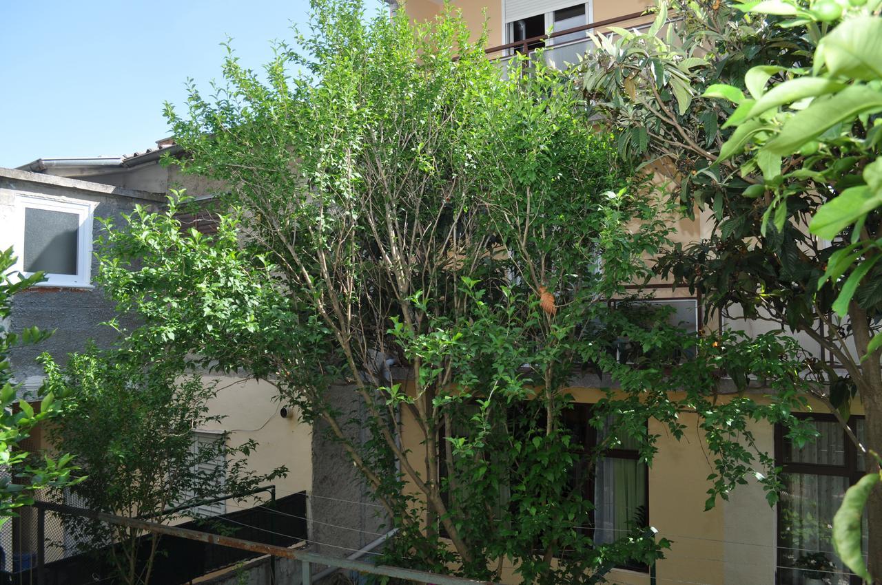 Apartments Ljubica ماكارسكا المظهر الخارجي الصورة